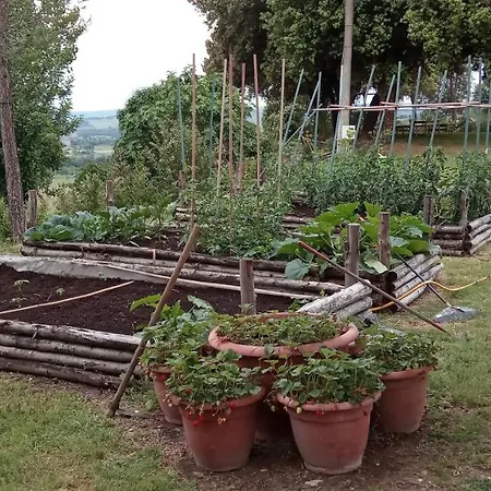 Çiftlik konaklama Riparossa Allerona