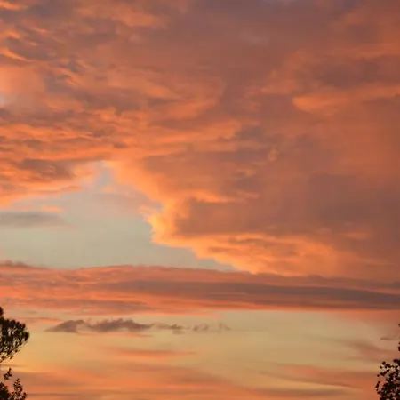 Riparossa * Allerona