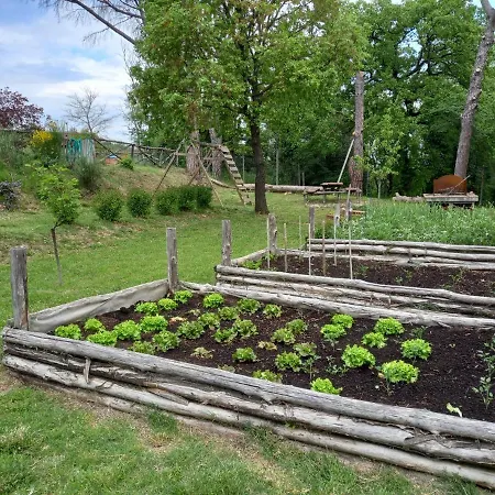 Farm stay Agriturismo Riparossa Allerona