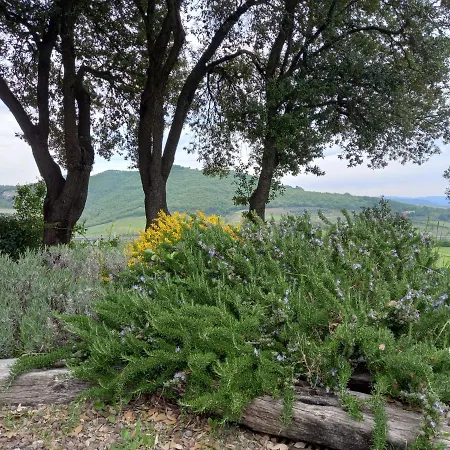 Gospodarstwo agroturystyczne Riparossa *