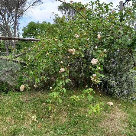 Riparossa Agroturismo Allerona