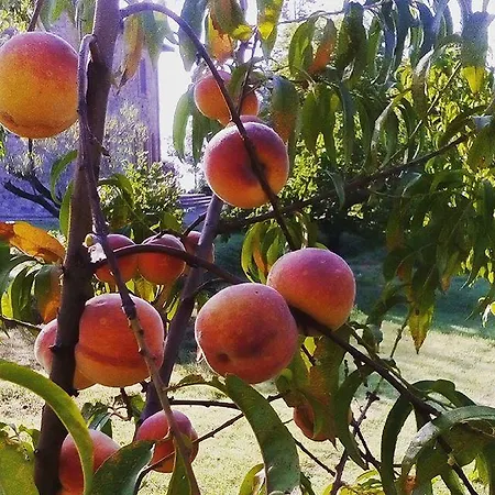 Riparossa Agroturismo