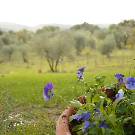 Riparossa Gospodarstwo agroturystyczne *
