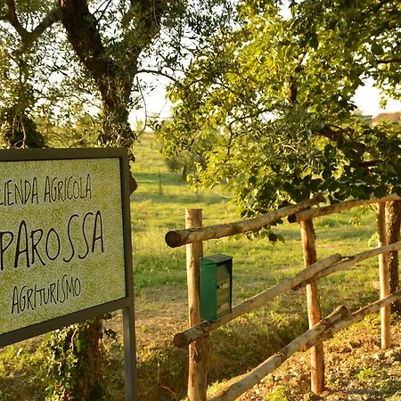 Agriturismo Riparossa Farm stay Allerona