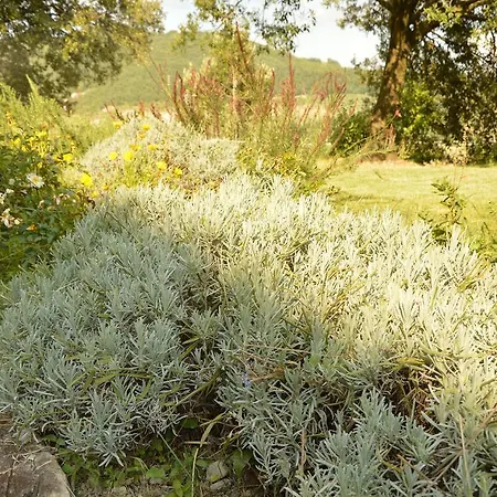 Riparossa Çiftlik konaklama *