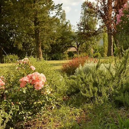 Riparossa Agroturismo Allerona