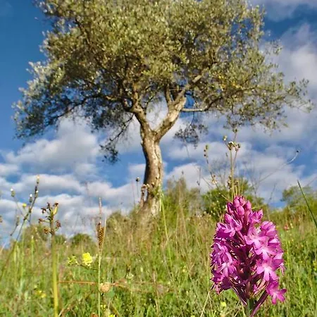 Agriturismo Riparossa * Allerona