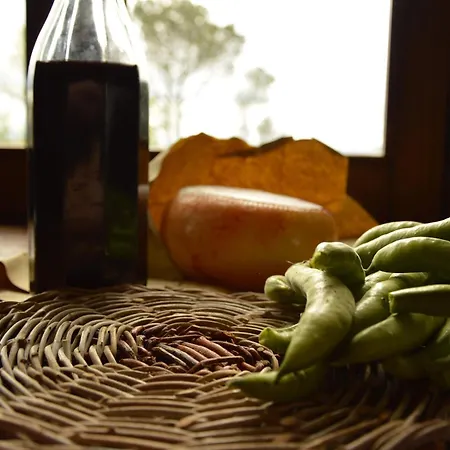 Çiftlik konaklama Riparossa *