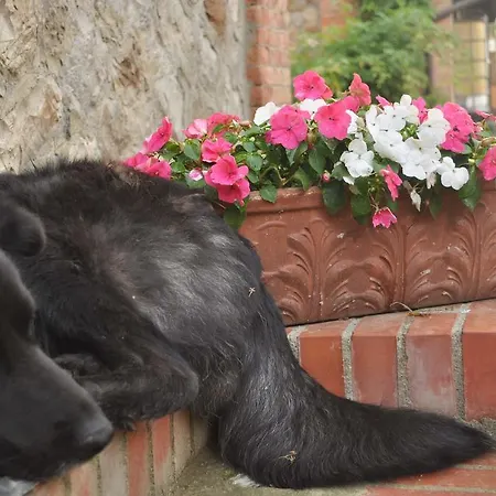 Riparossa Gospodarstwo agroturystyczne