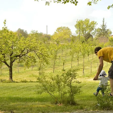 Riparossa * Allerona
