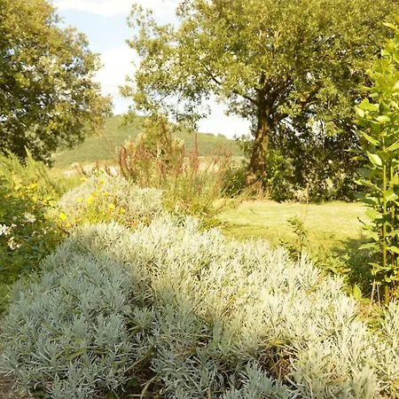 Gospodarstwo agroturystyczne Riparossa Allerona
