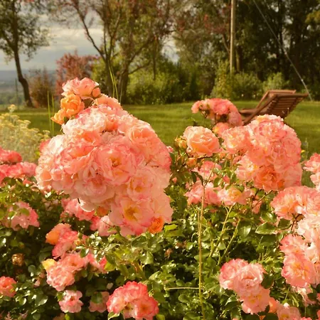 Agroturismo Riparossa