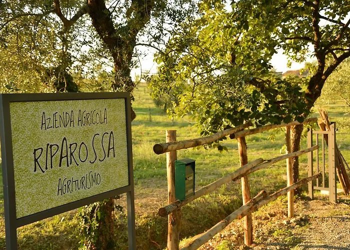 Riparossa Gospodarstwo agroturystyczne Allerona
