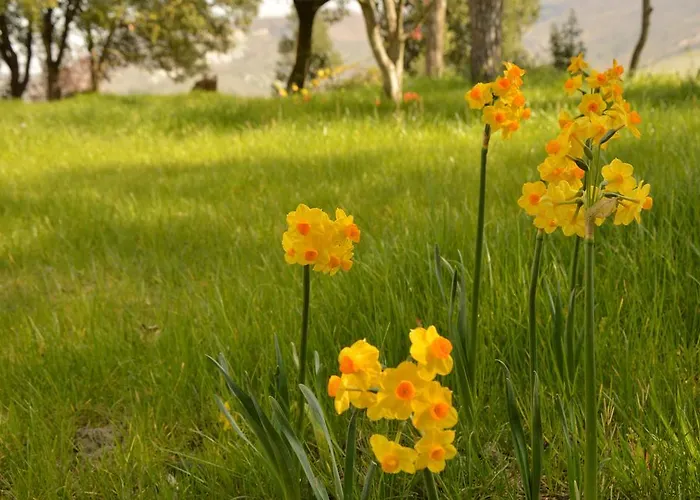 Riparossa * Allerona