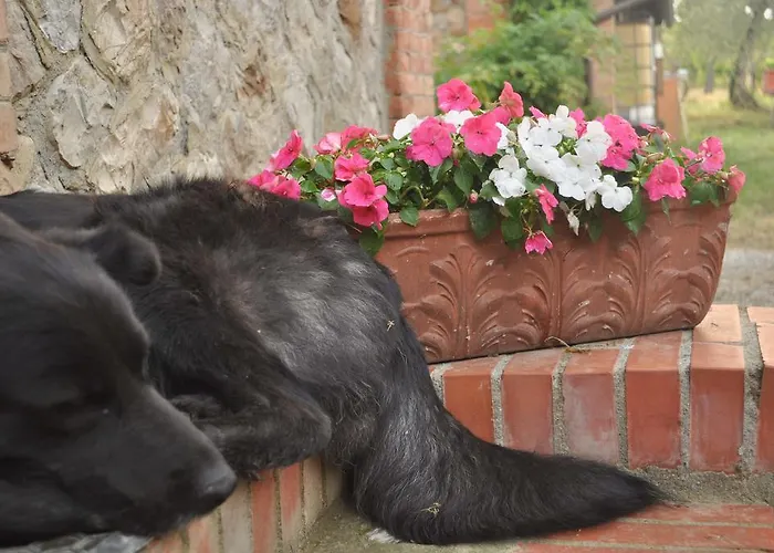 Riparossa Gospodarstwo agroturystyczne