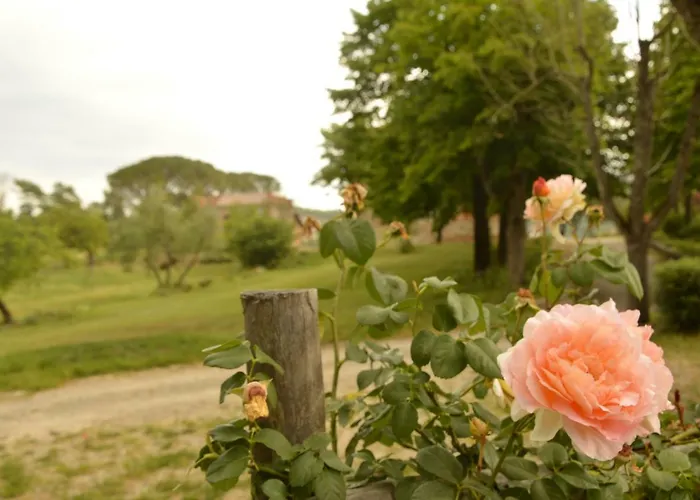 Gospodarstwo agroturystyczne Riparossa *